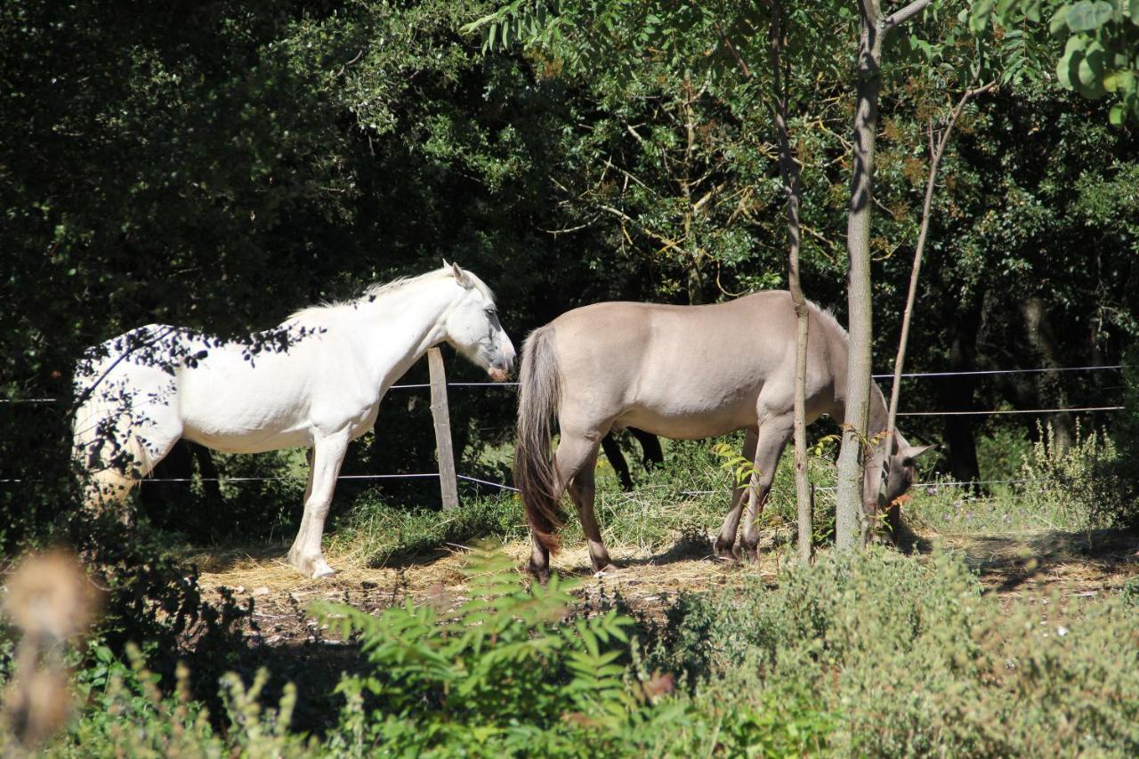 Studio Gard Calme Et Nature Russan Dış mekan fotoğraf