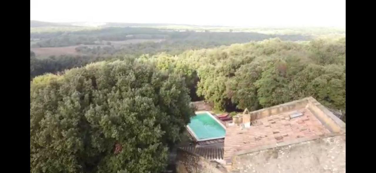 Studio Gard Calme Et Nature Russan Dış mekan fotoğraf