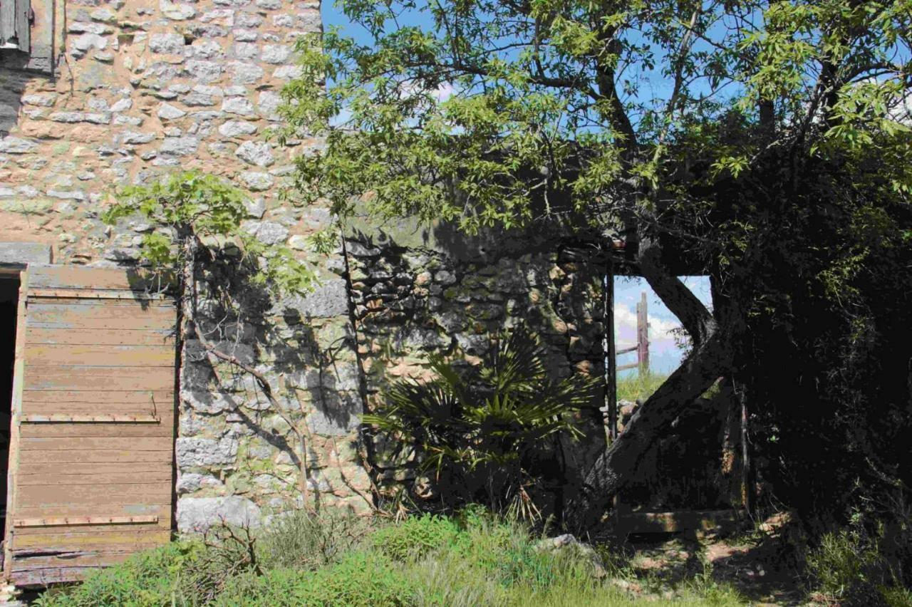 Studio Gard Calme Et Nature Russan Dış mekan fotoğraf