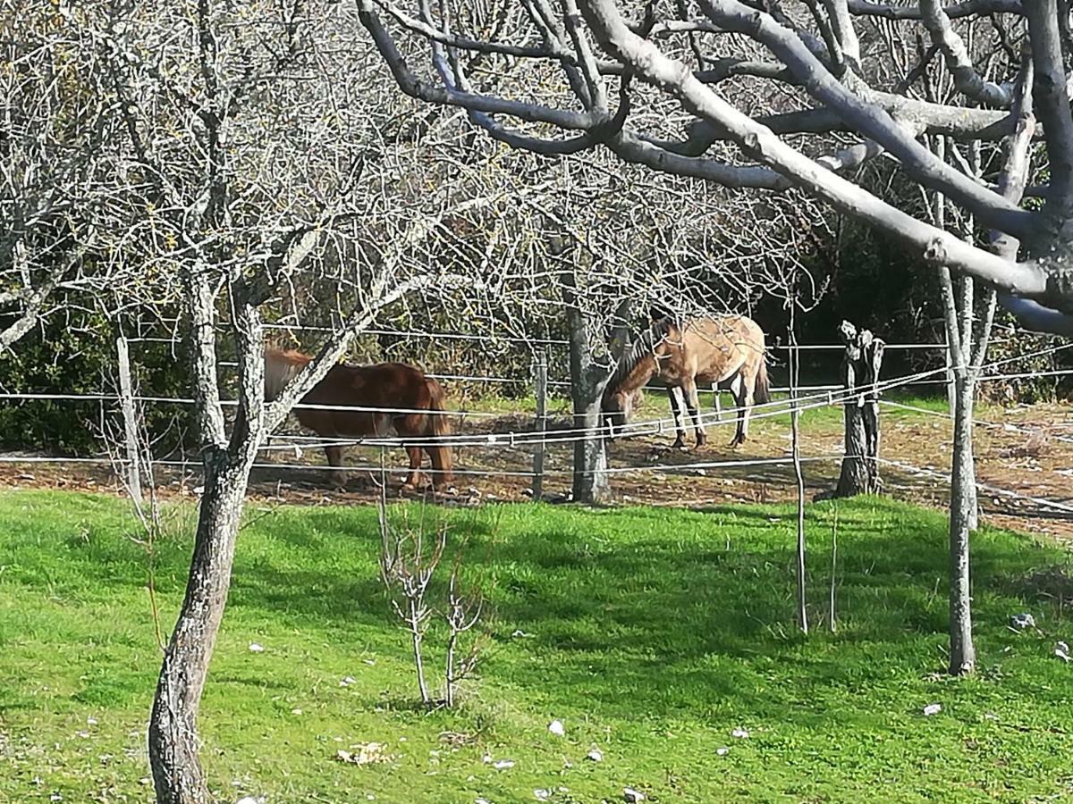 Studio Gard Calme Et Nature Russan Dış mekan fotoğraf
