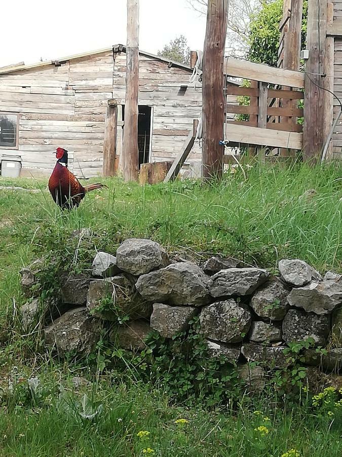 Studio Gard Calme Et Nature Russan Dış mekan fotoğraf